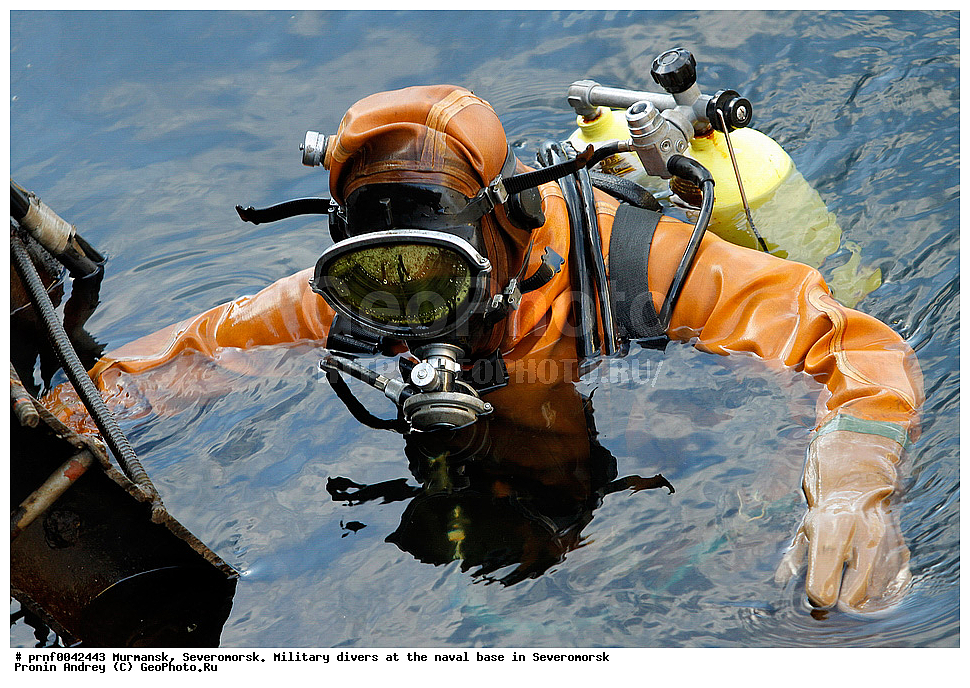 diver, frogman, ��������, �����������, �����������, �����, �������, �������-���������, �����������, ������ ��������, ������ ��������, ��������� ��������, ����� ���������, ������ ���������