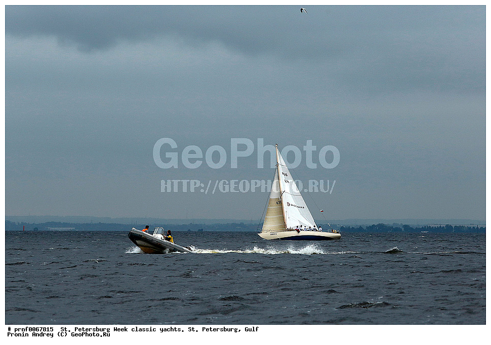 �����, �������, �����, ��������, ��������, �������� �����, ������, �����-������������� ������ ������������ ���, �����, ����, ������� �����
