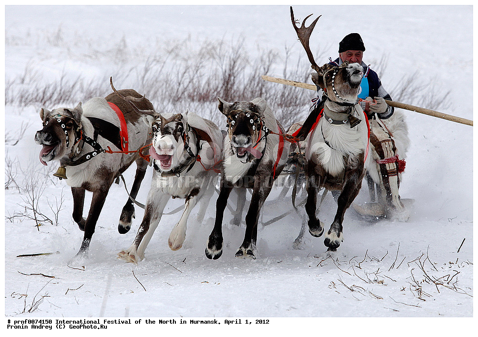 �����, ����� �� ������� ��������, ����� �� �������� ��������, ����, ����, ������������ �������, ���������, �����, �����, ������ �������, �������� ������, �������� ������, �������� ������, �������� ������, �������� ����, �������� ����, �����, �����, �������� ����������, �������� ����������, �������� ����������, �������� ��������, �������� ��������, �������� ��������, ����, ����, ������������, ���