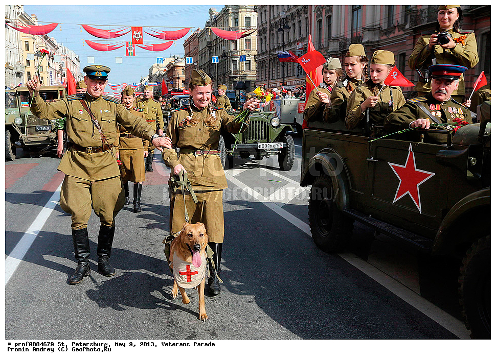 9 ���, �������, ��������, ���� ������, ������, ������, ������, ������� ��������, �������, �����-���������, �����, ���, ���� ������


