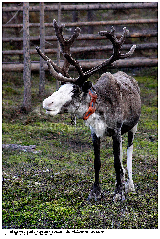  �����, ���������� �������, ���� ��������, ����, �����, �����, ��������, ������, C����, �������� ����������, ��������, �����, �������� ������, ����, ������� �����, ������, ������, ������, ��������������, ������������, ������������ ������, �����, �����, �����, ��������, ��������