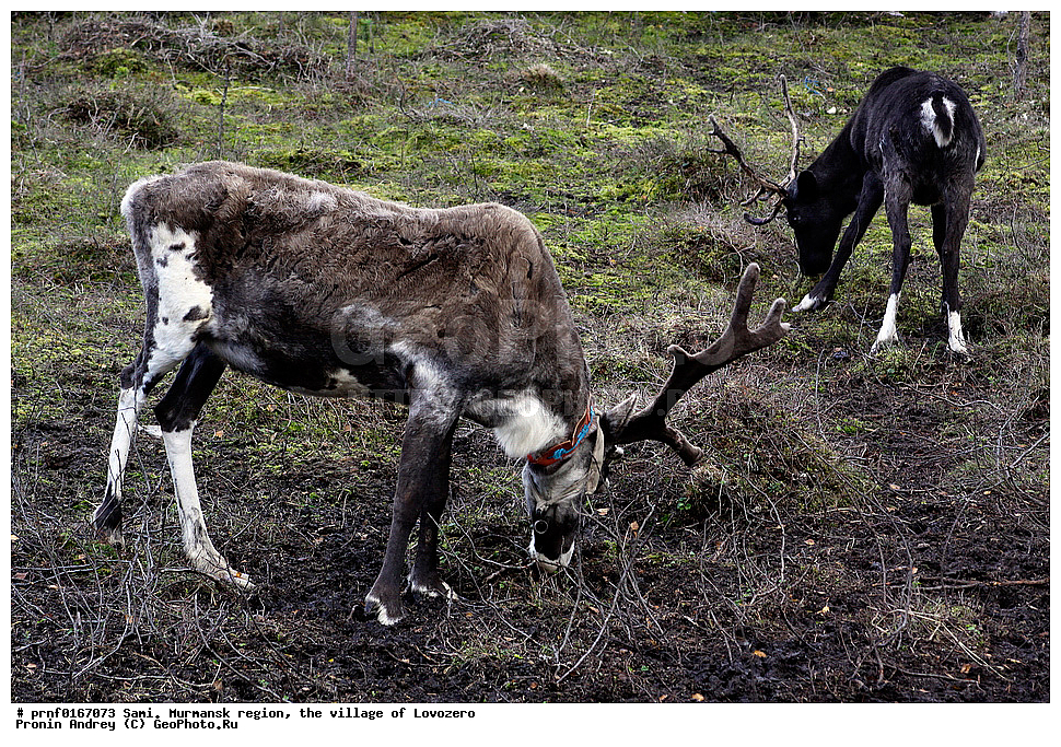  �����, ���������� �������, ���� ��������, ����, �����, �����, ��������, ������, C����, �������� ����������, ��������, �����, �������� ������, ����, ������� �����, ������, ������, ������, ��������������, ������������, ������������ ������, �����, �����, �����, ��������, ��������