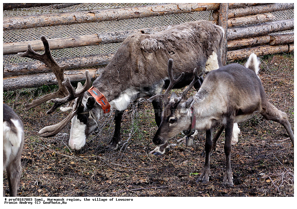  �����, ���������� �������, ���� ��������, ����, �����, �����, ��������, ������, C����, �������� ����������, ��������, �����, �������� ������, ����, ������� �����, ������, ������, ������, ��������������, ������������, ������������ ������, �����, �����, �����, ��������, ��������