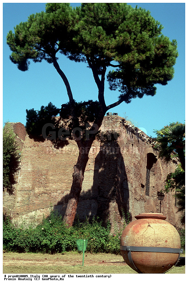 20 ���, 80� ����, XX ���, ������, �����, ����� ����������, ������