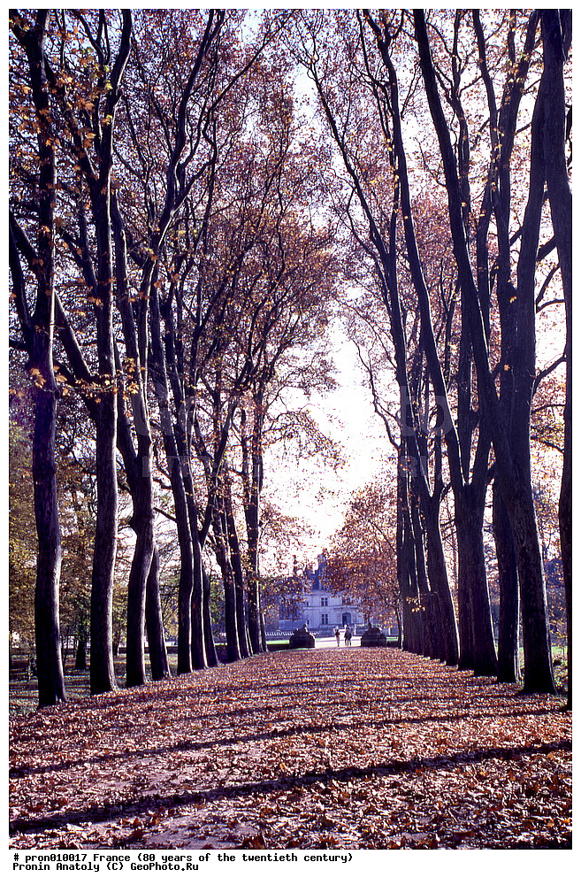 20 ���, 80� ����, XX ���, ������, �����, ����� ����������, �������