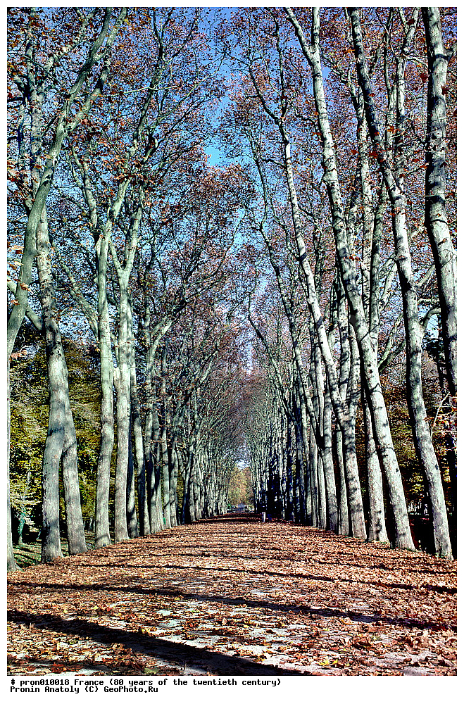 20 ���, 80� ����, XX ���, ������, �����, ����� ����������, �������