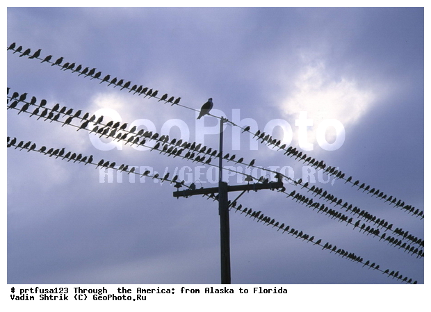 ����� �������: �� ������ �� �������