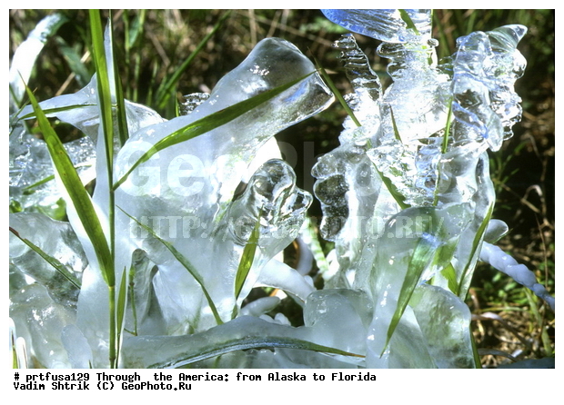 ����� �������: �� ������ �� �������