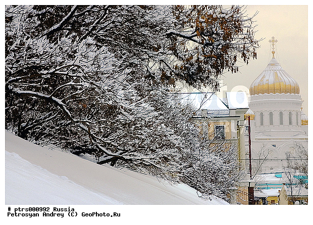 ������, ������, ���� ������ ���������, �����������, ����, �������, ������, ��������, ������, ����, ����