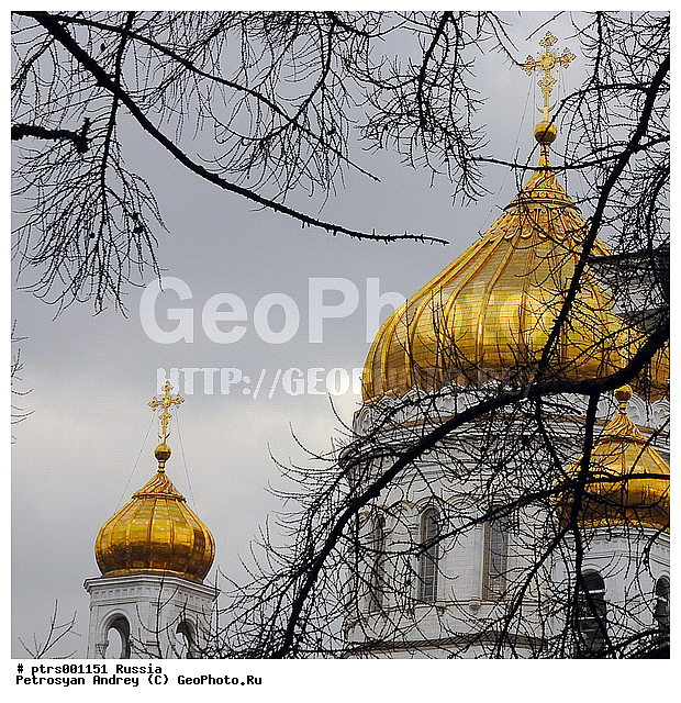 ������, ������, ���� ������ ���������, �����������, �������, ������� ������, �������, ������, ��������, ������, ��������, �������, ����, ������������