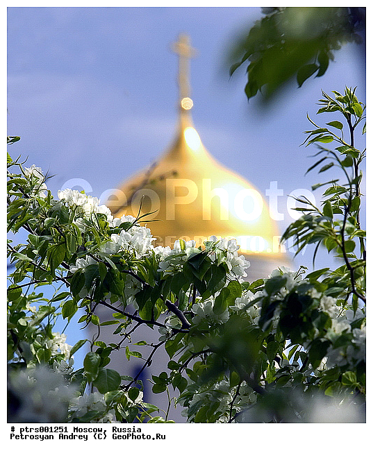 ������, ��������� ����, ������, �����������, �����, ���������, �������, ������, ��������, ������, ����, �������, ����, ������������, �����