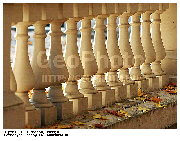 19 �, XIX, XIX �, ������, ������� �������������, �������� �����������, ��������, ���������, ��������� �����������