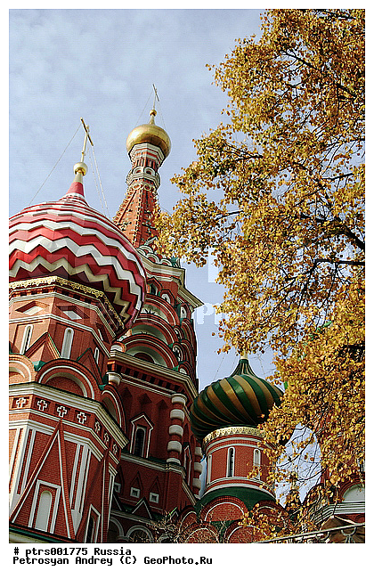 ������, ������, ���� ������� ����������, �����������, �������, ������, ��������, ������, ��������, �����, �����, �������, �����, ������, ����, ������������, ���������