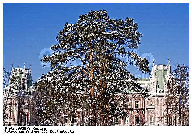 ������, ������, ������� ��������, ��������, �����������, ������, ���������������������, ����, ���������, �������, ��������, ����, ������, ���������