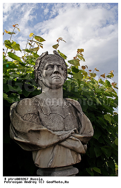 �������, ������, ������, ������� �������, �����������, �������, ��������, ����, �����, �����, ����������, ������, �������, ���������