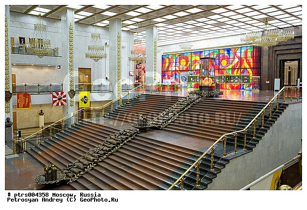 ������, ��������� ����