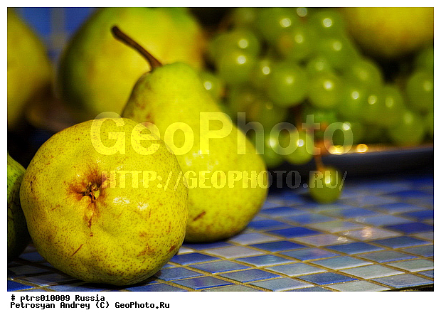 ��������, �����, ������, �����, �����, ���������, ���������, ������