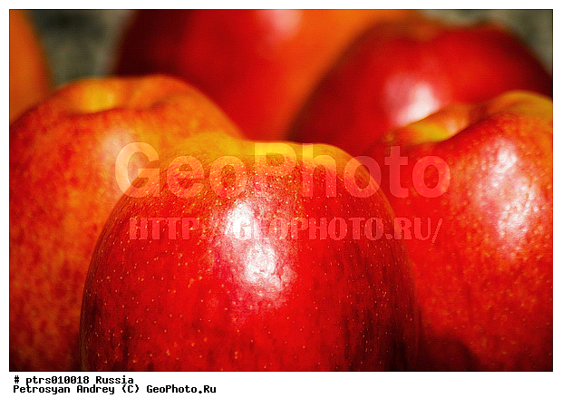 ������, �����, �������� �������, �������, ���������, ����, ���������, ������, ������, ������