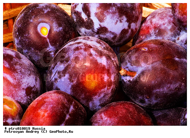 ������, �����, �������� �������, ���������, ����, ���������, �����, ������, ������, ������