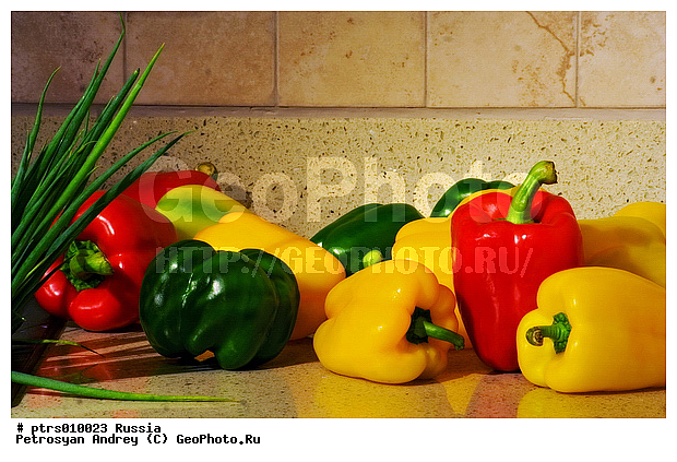 ����������, �����, ������, �������� �������, �������, �������, ���, ���������, �����, �����, �����, �������, ������