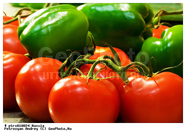 ����������, �����, �������� �������, �������, ��������, �������, ���������, �����, �����, ��������, ������, �������, ������, ������, ������