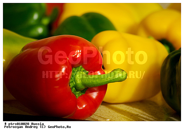 ����������, �����, ������, �������� �������, �������, ���������, �����, �����, ������, �������, ������