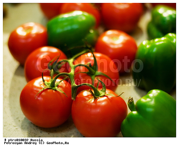 ����������, �����, �������, �������, ���������, �����, �����, ��������, ������, �������, ������, ������, ������