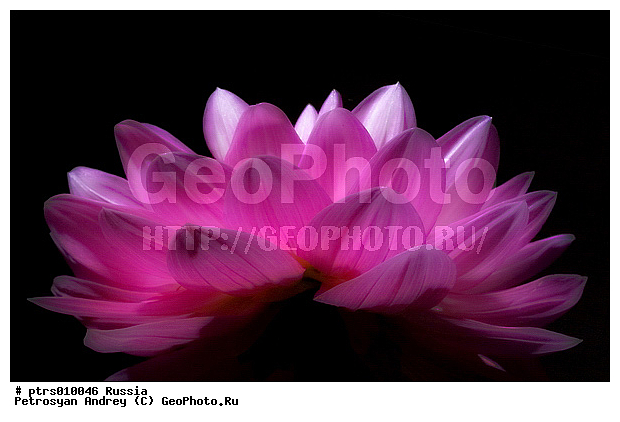 ��������� ������, ��������, ��������, �������, ����, ����������, ���������, ������, �����, ������ ���