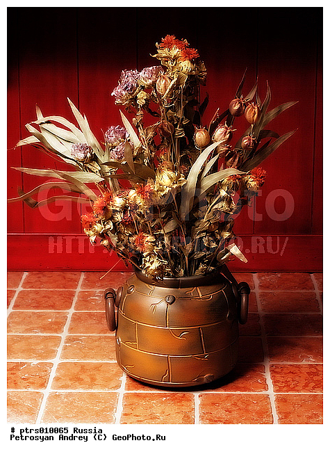 ����� ������, �����, ����, ��������, ����������, ����������, �����, ����� � ����