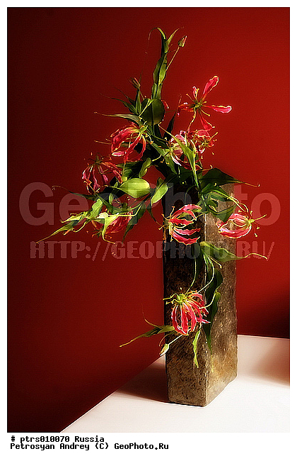 ����� ������, �����, ����, �������, ����������, ����������, �����, ����� � ����