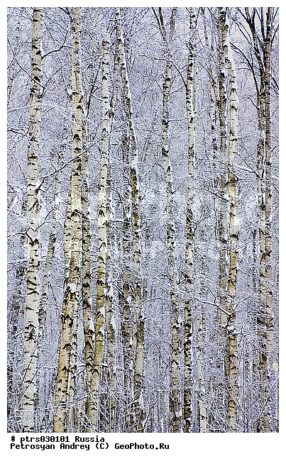 �������� � �������, �����, ������, ������, ����, ������ ���, ���, ��������, ������������ �������, ����, �������, �����