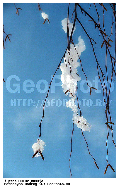 �������� � �������, ������, �����, �����, ��������, ������������ �������, �����, ����, �������