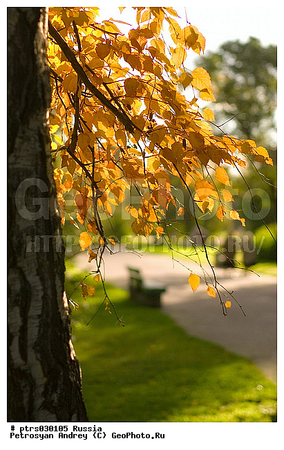 �������� � �������, �����, ������, ������, ������� �����, ����������, �������, �������, �����, ����, ��������, ������������ �������, �������