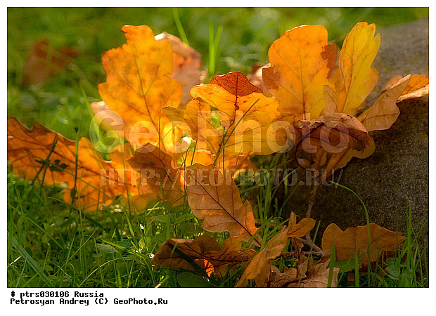 �������� � �������, ���, ������� ����, ������� �����, ����������, �������, ����, �����, ������� ������, �����, ��������, ������������ �������, �����, �������, ��������, �����