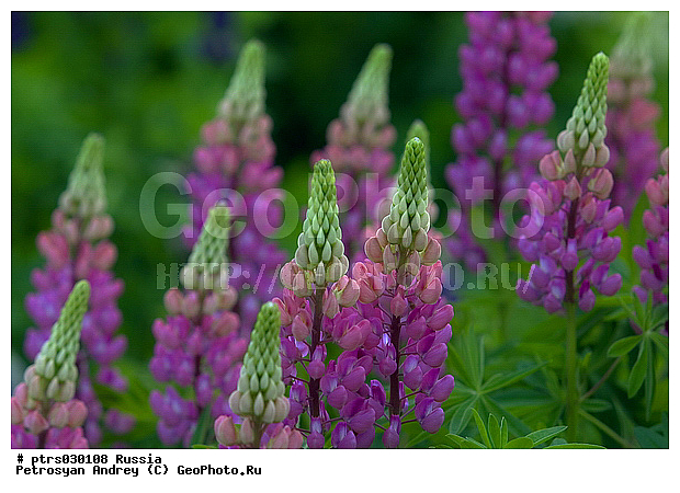 �������� � �������, �������, �������, ��������, ������������ �������, ������� �����, �������, ����������, ������, �����