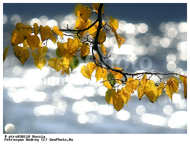 �������� � �������, �����, ����, ������, �����, ��������, ������������ �������, �������