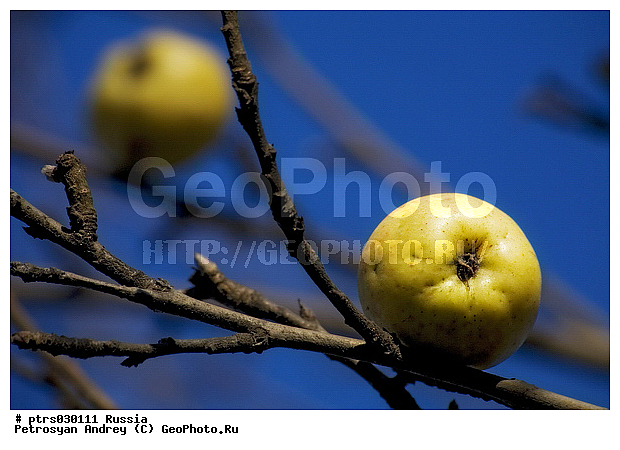 �������� � �������, �����, �������, ���, ������, ������, �����, ����, ����, ��������, ������������ �������, �������, �����, ������