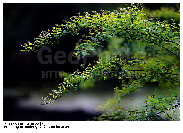 �������� � �������, �����, �������, ��������, ������������ �������, �������