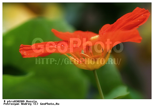 ����� �������, �������, ��������, ������, ������, �����, �����