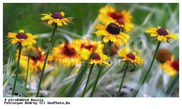 ����� �������, ������, ��������, �����, �����