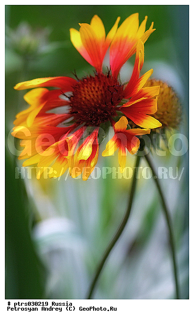 ����� �������, ������, �����, ��������, �����, �����