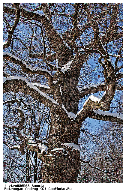 ������������� ������, ����� � �����, ������, �����������, ����, ���, ������, ����, �����