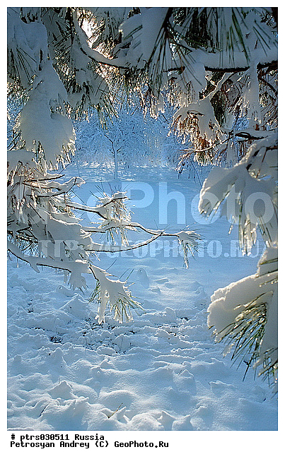 ������������� ������, ����� � �����, ������, �����������, ����, ���, ������, ����, �������