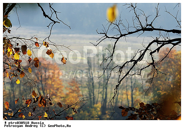 ������������� ������, ������, ������� �����, ����������, �������, ���, ������, ������� ���, ������� ������, �����, ������