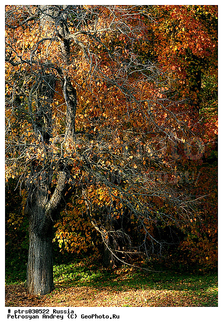 ������������� ������, ������, ������� �����, ����������, �������, ������, ������� ������, ������� ������, �����, ������, �����