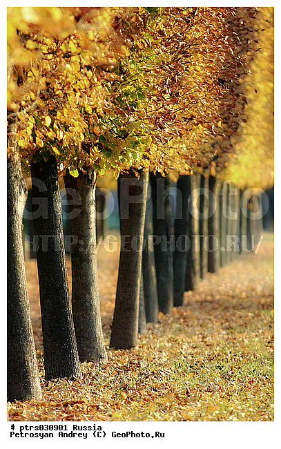 �����, ������, ������, ����������, �������, ������, ������� ������, ������� ������, �����, �����