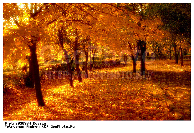 �����, �����, ������, ������, ����������, �������, ������, ������� ������, ������� ������, �����, �����