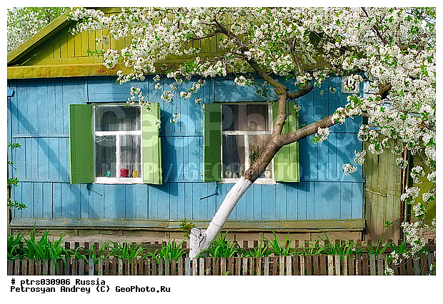 �������, ����������� ���, ������, ���, ����, ����, �������� ������, ������, ������