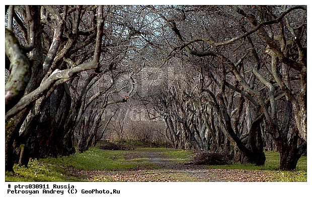 �����, �����, ������, �������, �����������, �����