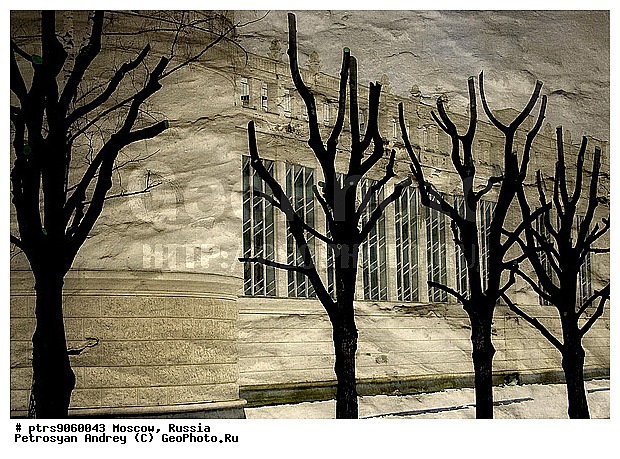 �����, �������